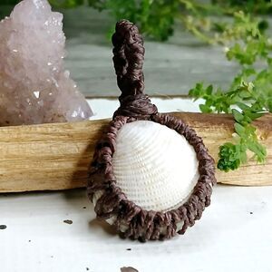 Macrame Seashell Pendant, Shell Jewelry, Natural Shell Pendant 1.75"